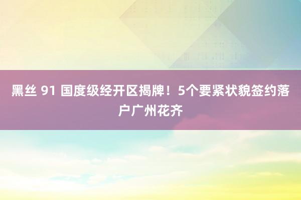 黑丝 91 国度级经开区揭牌！5个要紧状貌签约落户广州花齐