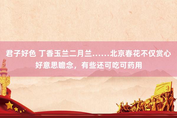 君子好色 丁香玉兰二月兰……北京春花不仅赏心好意思瞻念，有些还可吃可药用