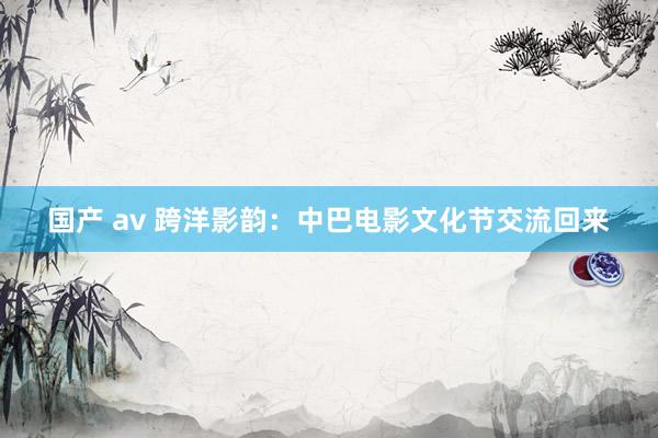 国产 av 跨洋影韵：中巴电影文化节交流回来