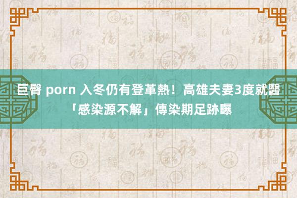 巨臀 porn 入冬仍有登革熱！高雄夫妻3度就醫「感染源不解」　傳染期足跡曝