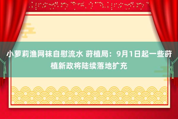 小萝莉渔网袜自慰流水 莳植局：9月1日起一些莳植新政将陆续落地扩充