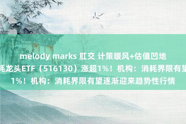 melody marks 肛交 计策暖风+估值凹地！消耗再迎利好，消耗龙头ETF（516130）涨超1%！机构：消耗界限有望逐渐迎来趋势性行情