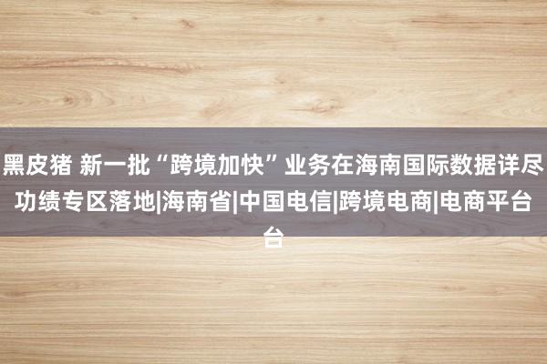 黑皮猪 新一批“跨境加快”业务在海南国际数据详尽功绩专区落地|海南省|中国电信|跨境电商|电商平台
