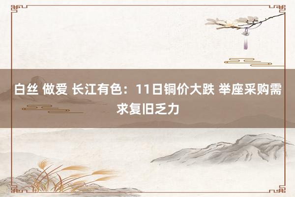 白丝 做爱 长江有色：11日铜价大跌 举座采购需求复旧乏力