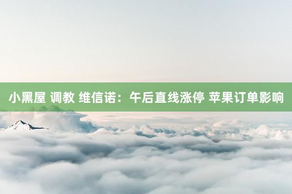 小黑屋 调教 维信诺：午后直线涨停 苹果订单影响
