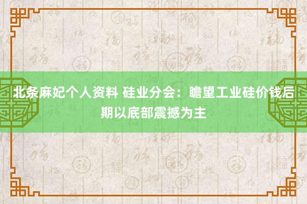 北条麻妃个人资料 硅业分会：瞻望工业硅价钱后期以底部震撼为主