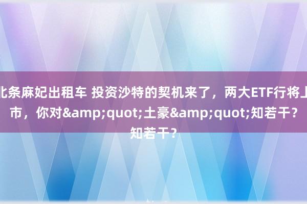 北条麻妃出租车 投资沙特的契机来了，两大ETF行将上市，你对&quot;土豪&quot;知若干？