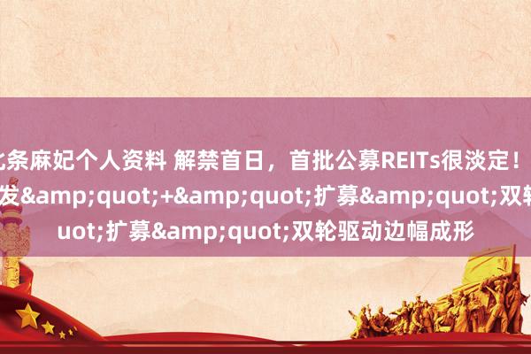 北条麻妃个人资料 解禁首日，首批公募REITs很淡定！&quot;首发&quot;+&quot;扩募&quot;双轮驱动边幅成形