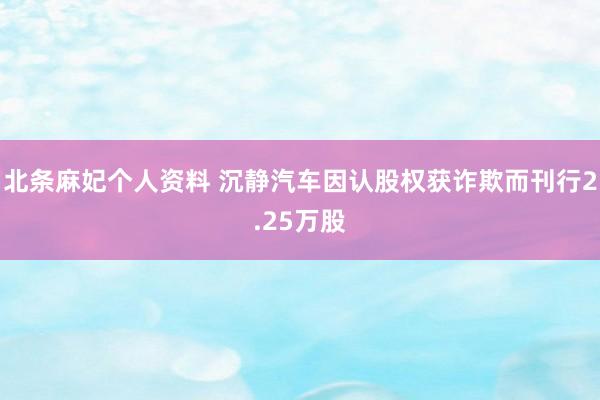 北条麻妃个人资料 沉静汽车因认股权获诈欺而刊行2.25万股