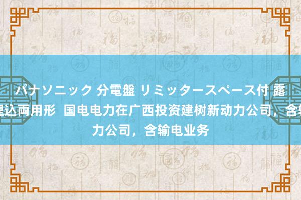 パナソニック 分電盤 リミッタースペース付 露出・半埋込両用形  国电电力在广西投资建树新动力公司，含输电业务