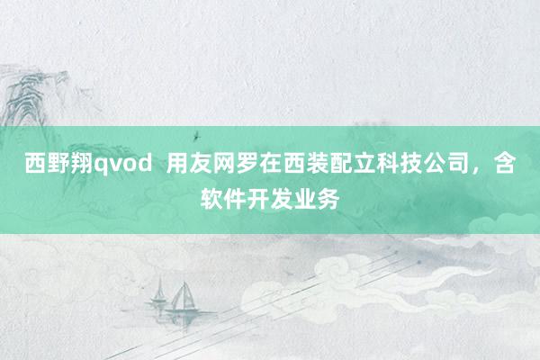 西野翔qvod  用友网罗在西装配立科技公司，含软件开发业务
