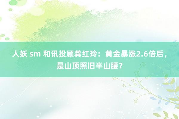 人妖 sm 和讯投顾龚红玲：黄金暴涨2.6倍后，是山顶照旧半山腰？