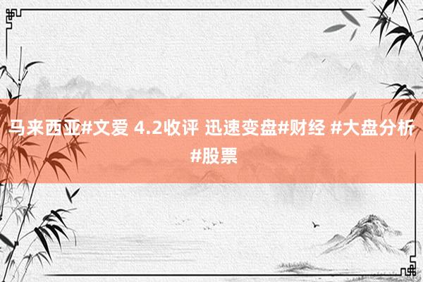 马来西亚#文爱 4.2收评 迅速变盘#财经 #大盘分析 #股票